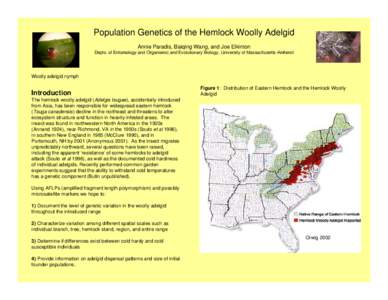 Microsoft PowerPoint - Population_Genetics_of_the_Hemlock_Woolly_Adelgid.ppt