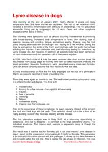 Lyme disease in dogs One morning at the end of January 2011 Nick‘s (Terrier 3 years old) body temperature had 39.8 fever and he was apathetic. The visit to the veterinary clinic revealed a tonsillitis (inflammation wit