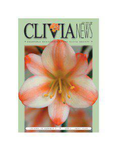 C. miniata / Amaryllidoideae / Clivia / C. nobilis