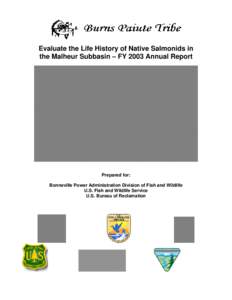 Evaluate the Life History of Native Salmonids in   the Malheur Subbasin – FY 2003 Annual Report Prepared for:
