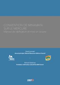 CONVENTION DE MINAMATA SUR LE MERCURE Manuel de ratification et mise en oeuvre  David Lennett