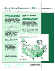 Black-Owned Businesses: 1997  Issued October 2001 Census Brief: Survey of Minority-Owned Business Enterprises