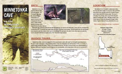 Stalactite / Minnetonka Cave / Cave / Stalagmite / Lava River Cave / Cave of the Mounds / Speleothems / Physical geography / Geology