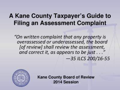 Kane County Board of Review 2014 Assessment Complaint Form Instructions