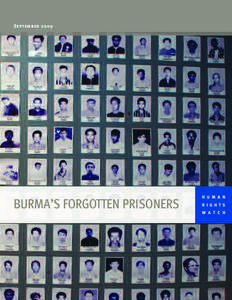 Burmese democracy movement / Aung San Suu Kyi / Zarganar / Assistance Association for Political Prisoners / Insein Prison / 88 Generation Students Group / State Peace and Development Council / Win Tin / Min Ko Naing / Burmese people / Burma / Asia