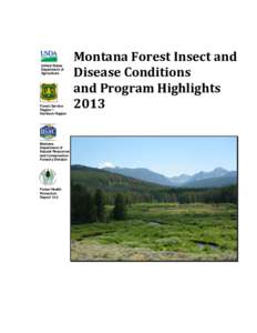 Dendroctonus / Mountain pine beetle / Beaverhead-Deerlodge National Forest / Spruce Budworm / Bark beetle / Balsam woolly adelgid / Whitebark Pine / Lolo National Forest / Arceuthobium douglasii / Montana / Curculionidae / Woodboring beetles