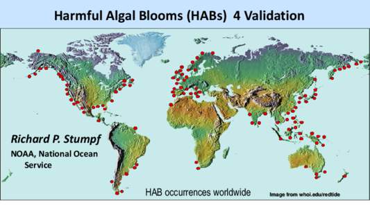 Harmful Algal Blooms (HABs) 4 Validation  Richard P. Stumpf NOAA, National Ocean Service