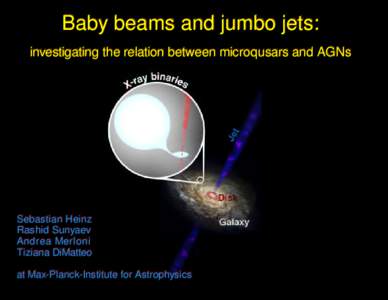 Baby beams and jumbo jets: investigating the relation between microqusars and AGNs Sebastian Heinz Rashid Sunyaev Andrea Merloni