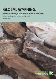 GLOBAL WARNING: Climate Change and Farm Animal Welfare A Report by Compassion in World Farming – 2008 Photo: © Compassion in World Farming / Amit Pasricha