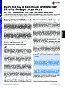 Aquatic ecology / Marine biology / Fisheries / Trimethylamine N-oxide / Osmolyte / Hadal zone / Pseudoliparis amblystomopsis / Demersal fish / Notoliparis kermadecensis / Fish / Ichthyology / Liparidae