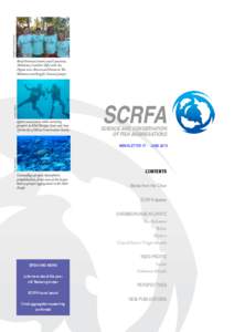 Mycteroperca / Conservation in Belize / Coral reefs / Grouper / Gladden Spit and Silk Cayes Marine Reserve / Yellowfin grouper / Physical geography / Wild fisheries / Water / Epinephelus / Fisheries / Nassau grouper