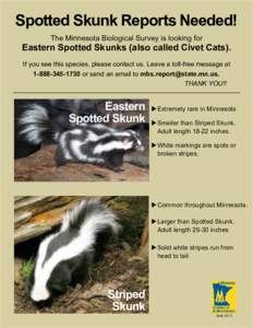 Spotted Skunk Reports Needed! The Minnesota Biological Survey is looking for Eastern Spotted Skunks (also called Civet Cats). If you see this species, please contact us. Leave a toll-free message at[removed]or sen