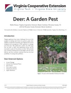 Deer: A Garden Pest Walter Hussey, Virginia Cooperative Extension Master Gardener, Fluvanna County, VA with the Fluvanna County Extension Master Gardeners Reviewed by Jim Parkhurst, Associate Professor of Wildlife Scienc