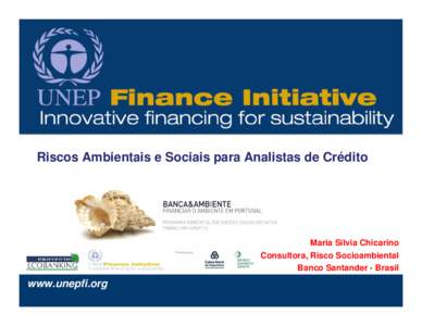 Riscos Ambientais e Sociais para Analistas de Crédito  Maria Silvia Chicarino Consultora, Risco Socioambiental Banco Santander - Brasil