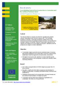 EuropeAid  Bio-diversity Consolidating tropical forest protection in Colombia and the northwest Amazon Basin  COAMA Programme [Phases I-V] 