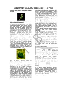 VI OLIMPÍADA BRASILEIRA DE BIOLOGIA Analise o texto abaixo e responda as questões de 1 a 5 Foto de Elysia