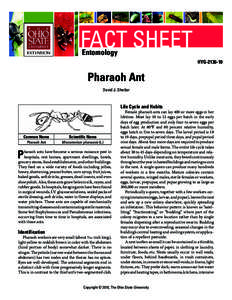FACT SHEET Entomology HYG[removed]Pharaoh Ant