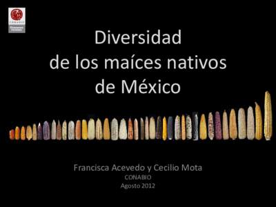 Diversidad de los maíces nativos de México Francisca Acevedo y Cecilio Mota CONABIO