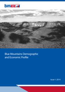 Blue Mountains Demographic and Economic Profile Issue 1: 2014  MT IRVINE