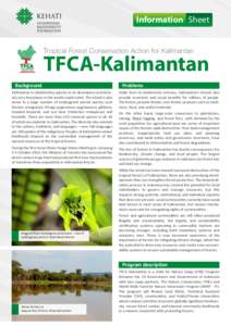 Information Sheet TFCA-Kalimantan rev 2