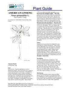 Plant Guide AMERICAN GINSENG Panax quinquefolius L.