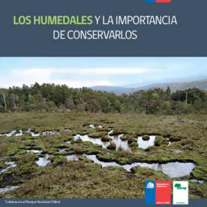 LOS HUMEDALES Y LA IMPORTANCIA DE CONSERVARLOS Turberas en el Parque Nacional Chiloé  ¿QUÉ SON LOS HUMEDALES?