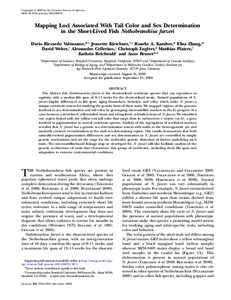 Copyright Ó 2009 by the Genetics Society of America DOI: geneticsMapping Loci Associated With Tail Color and Sex Determination in the Short-Lived Fish Nothobranchius furzeri Dario Riccardo Valenzano,