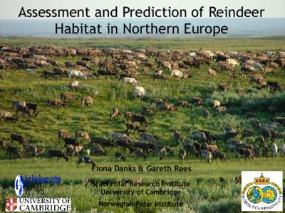 Assessment and Prediction of Reindeer Habitat in Northern Europe Fiona Danks & Gareth Rees Scott Polar Research Institute University of Cambridge