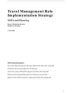 Travel Management Rule Implementation Strategy