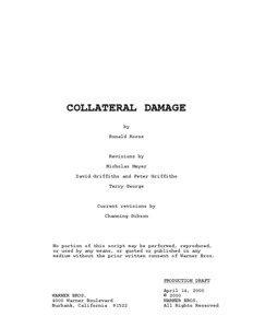 COLLATERAL DAMAGE by Ronald Roose