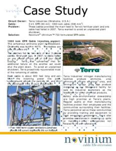 Visio-2008 Terra case study.vsd