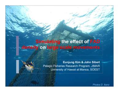 Simulating the effect of FAD density on large scale movements Eunjung Kim & John Sibert Pelagic Fisheries Research Program, JIMAR University of Hawaii at Manoa, SOEST
