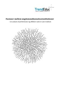 Fusioner mellem ungdomsuddannelsesinstitutioner – en analyse af performance og effekter samt et case-studium Forord  Analysens disponering