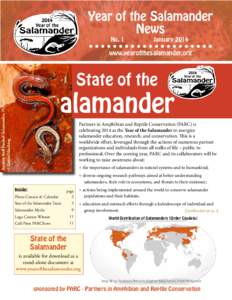 Year of the Salamander News No. 1 