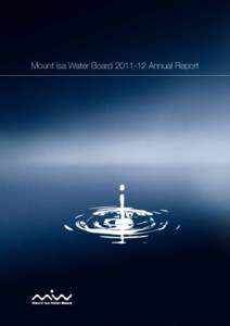 Mount Isa Water Board[removed]Annual Report  Vision To be a sustainable business managing the efficient and reliable treatment and transportation of bulk water based on commercial principles.