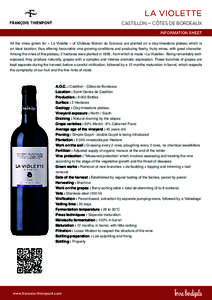 LA VIOLETTE CASTILLON – CÔTES DE BORDEAUX INFORMATION SHEET All the vines grown for « La Violette » of Château Manoir du Gravoux are planted on a clay-limestone plateau which is an ideal location, thus offering fav