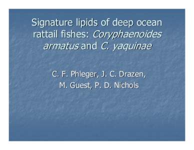 Docosahexaenoic acid / Humboldt Squid / Squid / Lipid / Macrouridae / Fatty acids / Rattail