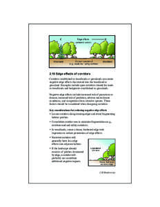 2.10 Edge effects of corridors Corridors established in woodlands or grasslands can create negative edge effects that extend into the woodland or grassland. Examples include open corridors cleared for roads in woodlands 