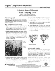 publication[removed]A Guide to Successful Pruning Stop Topping Trees Susan C. French, Extension Technician