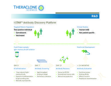 Immunology / Glycoproteins / Antibody / Monoclonal antibodies / Immunoglobulin G / B cell / Symphogen / Monoclonal antibody therapy / Biology / Immune system / Anatomy