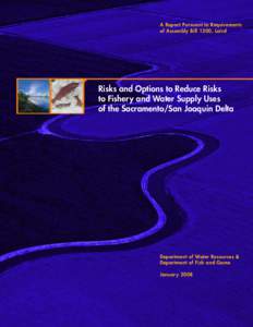 A Report Pursuant to Requirements of Assembly Bill 1200, Laird Risks and Options to Reduce Risks to Fishery and Water Supply Uses of the Sacramento/San Joaquin Delta