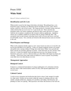 Potato XXII White Mold Howard F. Schwartz and David H. Gent Identification and Life Cycle White mold is caused by the fungus Sclerotinia sclerotium. The pathogen has a very