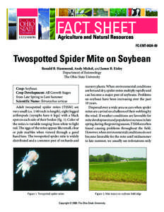 Twospotted Spider Mite on Soybean