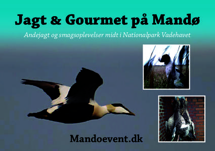 Jagt & Gourmet på Mandø Andejagt og smagsoplevelser midt i Nationalpark Vadehavet Mandoevent.dk  Jagt & Gourmet på Mandø