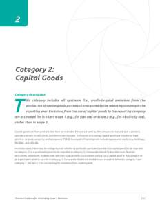 2  Category 2: Capital Goods Category description