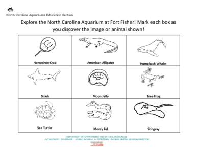 North Carolina Aquariums Education Section  Explore the North Carolina Aquarium at Fort Fisher! Mark each box as you discover the image or animal shown!  Horseshoe Crab