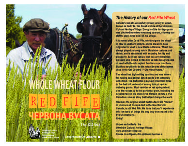 Europe / Agriculture / David Fife / Ukraine / Food and drink / Wheat / Red Fife wheat