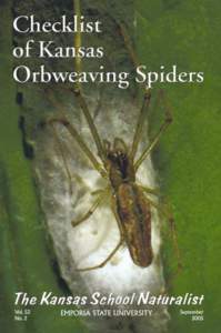 Araneidae / Argiope / Arachnids / Orb-weaver spider / Web decoration / Spider web / Spider silk / European garden spider / Spider / Phyla / Protostome / Spider anatomy