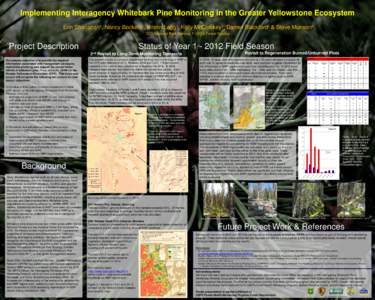 Implementing Interagency Whitebark Pine Monitoring in the Greater Yellowstone Ecosystem 2 Erin Shanahan¹, Nancy Bockino¹, Kristin Legg¹, Kelly McCloskey¹, Darren Blackford & Steve Munson  2