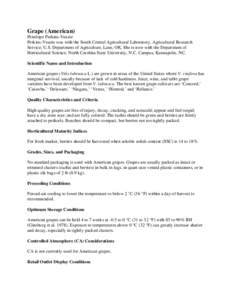 American wine / Grape / Vitaceae / Botrytis cinerea / Delaware / Ripeness in viticulture / Black rot / Niagara / Vitis labrusca / Wine / Oenology / Viticulture